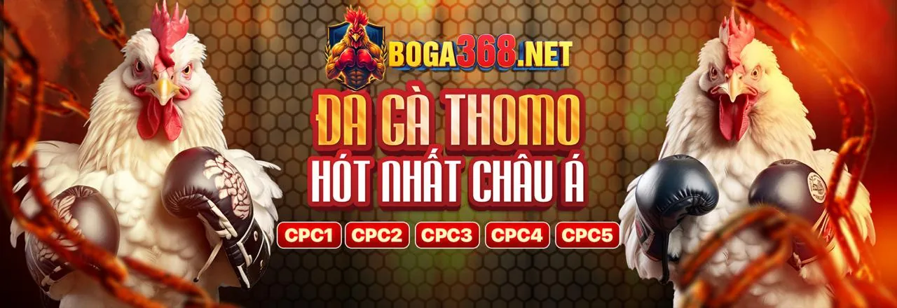 Hình ảnh hợp tác 88v
