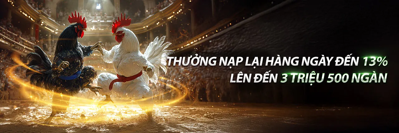 Đội ngũ 88v và tầm nhìn chiến lược